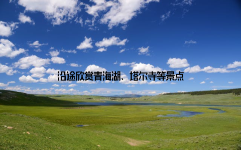 沿途欣赏青海湖、塔尔寺等景点