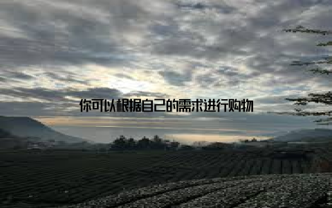 你可以根据自己的需求进行购物