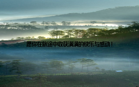 愿你在旅途中收获满满的快乐与感动!