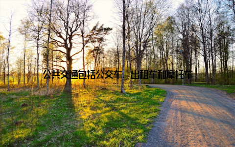 公共交通包括公交车、出租车和摩托车