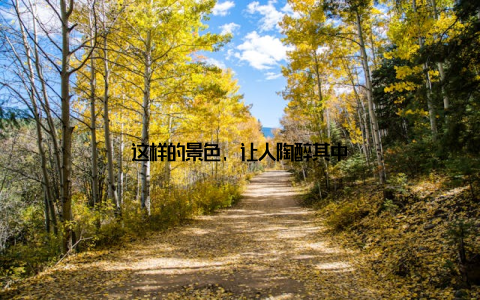 这样的景色, 让人陶醉其中