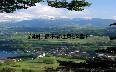 游泳时, 最好有救生员在旁监护