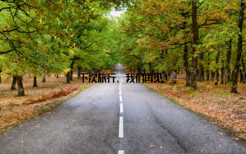 下次旅行, 我们再见!