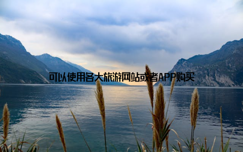可以使用各大旅游网站或者APP购买