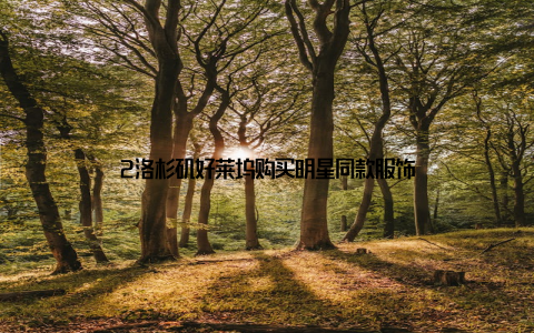 2洛杉矶好莱坞购买明星同款服饰