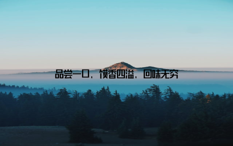 品尝一口, 馍香四溢, 回味无穷