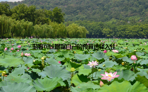 游客可以根据自己的预算选择入住