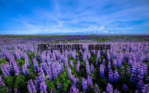 搭配当地特色调料, 味道鲜美