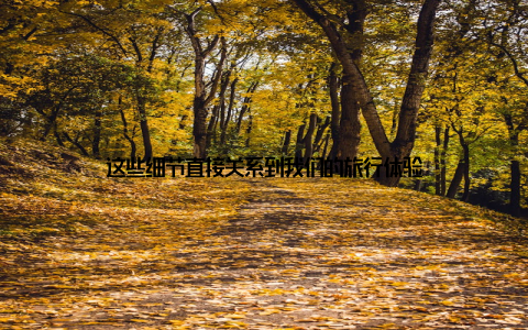 这些细节直接关系到我们的旅行体验