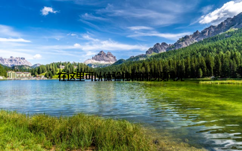 在这里可以体验独特的沙漠风光