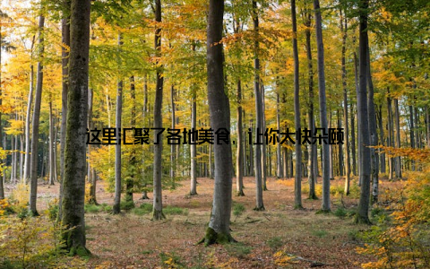 这里汇聚了各地美食, 让你大快朵颐