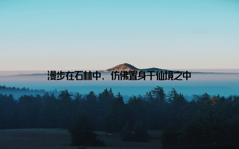 漫步在石林中, 仿佛置身于仙境之中