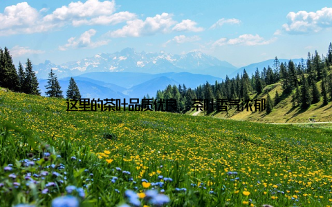 这里的茶叶品质优良, 茶叶香气浓郁