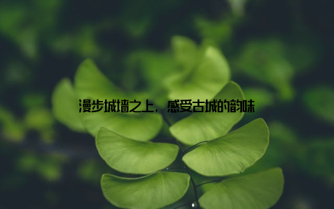 漫步城墙之上, 感受古城的韵味