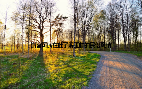 游客可以在此了解玉林的民俗风情