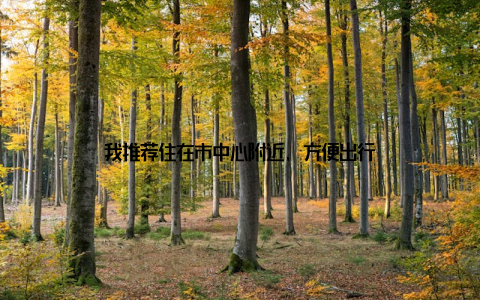 我推荐住在市中心附近, 方便出行