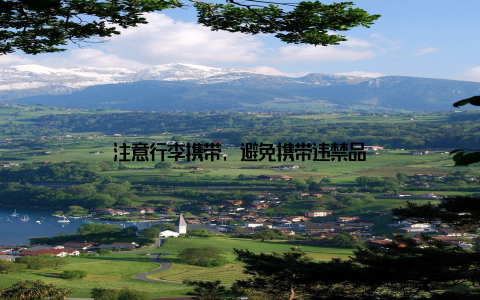 注意行李携带, 避免携带违禁品