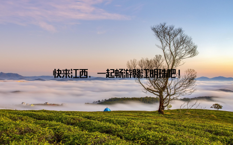 快来江西, 一起畅游赣江明珠吧!